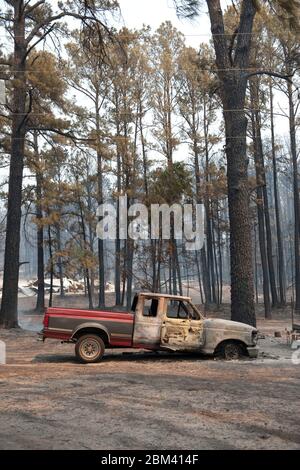 Bastrop County Texas USA, September 6 2011: Ein Pickup-Truck liegt in Ruinen nach einem Waldbrand, der 30 km östlich von Austin mehr als 38.000 Hektar Kiefernwälder und Weiden ausnahm. Trotz zweitägiger Bemühungen der Feuerwehr ist der Brand nach wie vor weitgehend außer Kontrolle. ©Bob Daemmrich Stockfoto