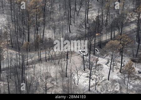 Bastrop County USA, September 16 2011: Aerial of Fire damage, wo Waldbrände 38.000 Morgen und über 1.500 Häuser mit zwei Todesfällen brannten. Die Bäume im Bastrop State Park waren am härtesten betroffen, da über 95 % der Parkfläche geschwärzt oder zerstört wurden. ©Bob Daemmrich Stockfoto