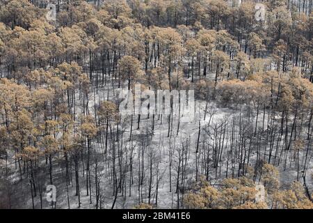 Bastrop County USA, September 16 2011: Aerial of Fire damage, wo Waldbrände 38.000 Morgen und über 1.500 Häuser mit zwei Todesfällen brannten. ©Bob Daemmrich Stockfoto