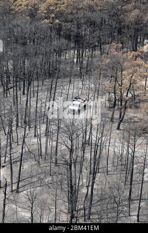 Bastrop County USA, September 16 2011: Aerial of Fire damage, wo Waldbrände 38.000 Morgen und über 1.500 Häuser mit zwei Todesfällen brannten. Die Bäume im Bastrop State Park waren am härtesten betroffen, da über 95 % der Parkfläche geschwärzt oder zerstört wurden. ©Bob Daemmrich Stockfoto