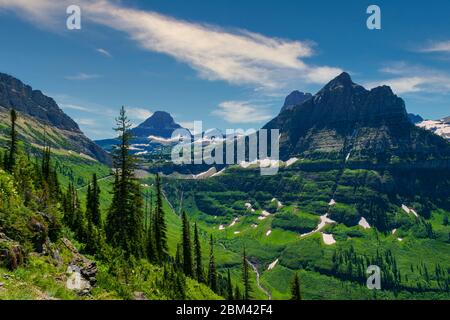 4885 hoch über dem Tal des Glacier National Park können Wanderer Schneetüllen in die grünen Weiden einbetten sehen. Stockfoto