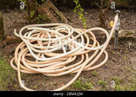 Kunststoffrohr in der Nähe von Wasser Ventil für die Verwendung Bewässerung der Pflanzen und Garten gerollt. Stockfoto