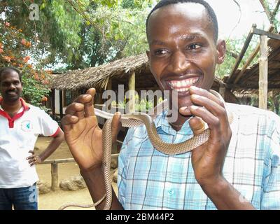 Arusha, Tanzariya - Mai 2011. Mann, der Schlange mit der Hand hält. Alles Gute. Stockfoto