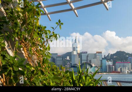 Skyline von Hongkong von Tsim Sha Tsui Promenade, Kowloon, Hongkong Stockfoto