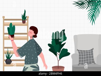 Frau legt ihre Sammlung Pflanzen grünen Kaktus auf einem Regal als Dekoration im Wohnzimmer Vektor-Illustration Stock Vektor