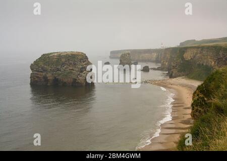 Marsden Rock in Marsden Bay bei South Shields, Großbritannien. Stockfoto