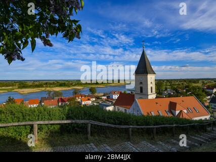 Lebus, Deutschland. Mai 2020. Blick über die alte Bischofsstadt an der deutsch-polnischen Grenze oder. Durch Lebus im Südosten des Landkreises Märkisch Oderland, etwa zehn Kilometer nördlich von Frankfurt (oder), verläuft in nördlicher Richtung eine der längsten Deichlinien Deutschlands. Schon in der jüngeren Bronzezeit um 1000 v. Chr. stand hier eine befestigte Volksburg. Quelle: Patrick Pleul/dpa-Zentralbild/ZB/dpa/Alamy Live News Stockfoto