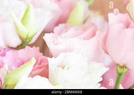 Nahaufnahme von rosa und weißen Blüten. Weiche Pastell Hochzeit Hintergrund. Stockfoto