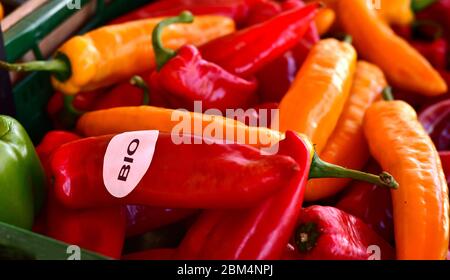 Ansicht von roter, grüner und gelber Paprika mit der Bio-Inschrift Stockfoto
