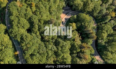 Kurvige Straße durch einen grünen Wald im Frühling, eingefangen von einer Drohne mit Panoramablick von oben im Frühling. Stockfoto