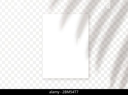 Überlagerung von Vektorschattierungen. Vector transparente Handfläche Blätter Schatten und a4-Karte Stock Vektor