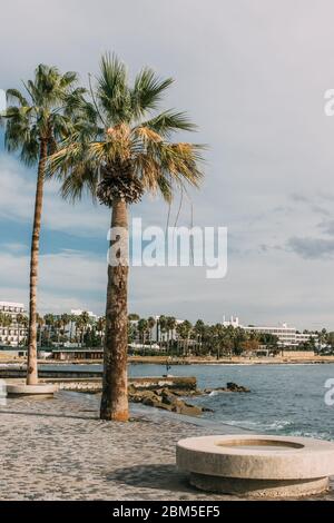 Sonnenlicht auf grünen Palmen Tees in der Nähe von Meer gegen blauen Himmel mit Wolken Stockfoto