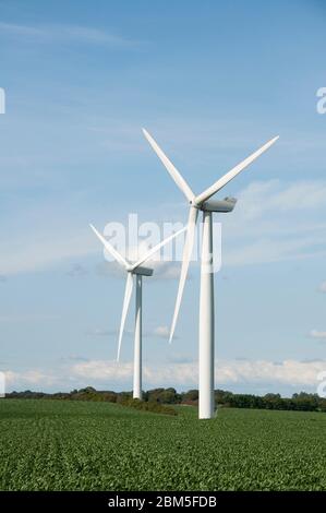 Zwei Windturbinen im grünen Feld, Esbjerg dänemark Stockfoto