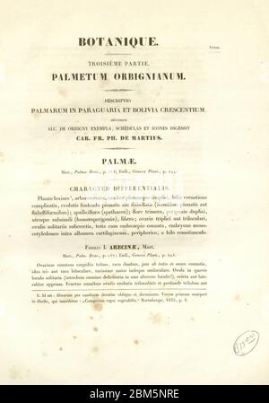 Titelblatt aus dem Buch 'Voyage dans l'Amérique Méridionale' [Reise nach Südamerika: (Brasilien, die östliche republik Uruguay, die argentinische Republik, Patagonien, die republik Chile, die republik Bolivien, die republik Peru), ausgeführt in den Jahren 1826 - 1833] von: Orbigny, Alcide Dessalines d', 1802-1857; Montagne, Jean François Camille, 1784-1866; Martius, Karl Friedrich Philipp von, 1794-1868 Veröffentlicht Paris :Chez Pitois-Levrault et c.e ... ;1835-1847 Stockfoto