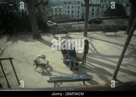 Hunde spielen in einem Park in Paris, pasakdek Stockfoto