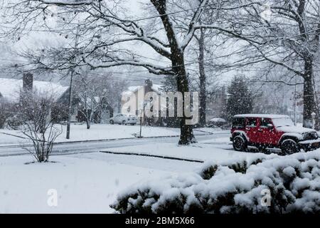 Große Schneeflocken fallen vom Himmel während eines frühen Frühlings Schneesturm in einer langen Insel Nachbarschaft. Stockfoto