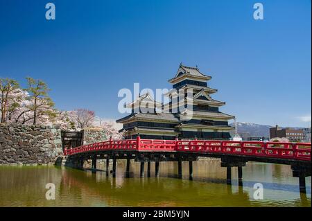 Frühling, Kirschblüte, Matsumoto Castle. Auch bekannt als "Crow Castle" aufgrund seiner schwarzen Fassade ist es ein historisches Schloss in Nagano Präfektur, Japan Stockfoto