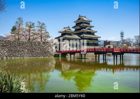 Frühling, Kirschblüte, Matsumoto Castle. Auch bekannt als "Crow Castle" aufgrund seiner schwarzen Fassade ist es ein historisches Schloss in Nagano Präfektur, Japan Stockfoto