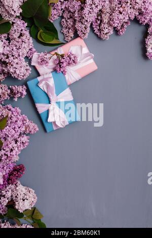 Blühende Fliederblumen auf grauem Hintergrund Stockfoto