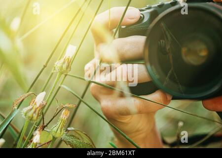 Person Hand hält eine professionelle Kamera, um Makrofotos einer Schnecke, in der Natur zu machen. Schnecke wird im Linsenglas reflektiert. Stockfoto