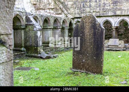 Ross Errilly Friary, ehemaliges Franziskanerkloster, Headford, Galway, Irland Stockfoto