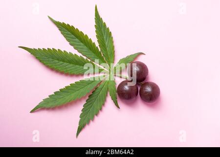 Cannabis-Schokolade und grünes Blatt auf rosa Hintergrund.Medizinische Marihuana-Kaffee-Süßigkeiten, Stimmung und Entspannung zu verbessern. Stockfoto