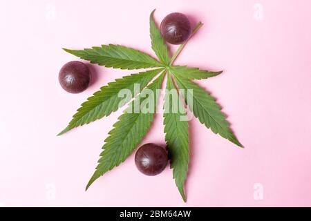 Cannabis-Schokolade und grünes Blatt auf rosa Hintergrund.Medizinische Marihuana-Kaffee-Süßigkeiten, Stimmung und Entspannung zu verbessern. Stockfoto