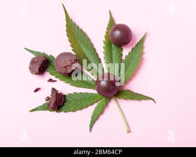 Cannabis-Schokolade und grünes Blatt auf rosa Hintergrund.Medizinische Marihuana-Kaffee-Süßigkeiten, Stimmung und Entspannung zu verbessern. Stockfoto