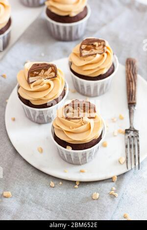 Schokoladenteig Cupcakes mit Erdnussbutter-Frischkäse-Zuckerguss und Schokoladengebiss. Rustikaler grauer Hintergrund Stockfoto