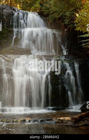 Purakaunui Falls, Owaka, Neuseeland Stockfoto
