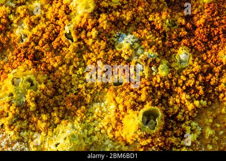 Bunte Landschaft von Dallol terrestrischen Hydrothermalsystem - hydrothermale Kamine, Salzsäulen und Terrassen in Danakil Wüste, Äthiopien Stockfoto