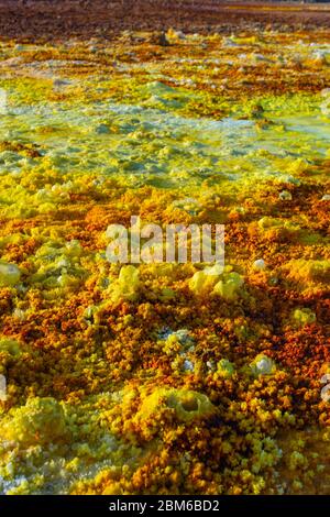 Bunte Landschaft von Dallol terrestrischen Hydrothermalsystem - hydrothermale Kamine, Salzsäulen und Terrassen in Danakil Wüste, Äthiopien Stockfoto