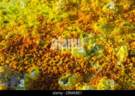 Bunte Landschaft von Dallol terrestrischen Hydrothermalsystem - hydrothermale Kamine, Salzsäulen und Terrassen in Danakil Wüste, Äthiopien Stockfoto