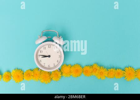 Löwenzahn Blumen und Uhr auf blauem Hintergrund Draufsicht Stockfoto