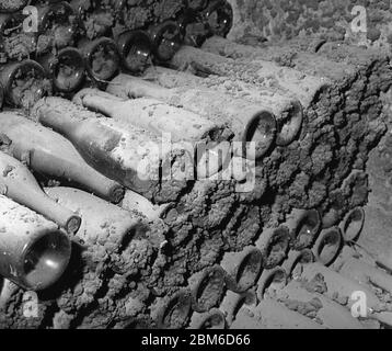 Regale mit sehr alten Wein- und Champagnerflaschen, die in unterirdischen französischen Weinkellern gelagert werden. Stockfoto