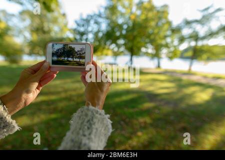 Hände der reifen Frau, die mit dem Telefon im Park fotografiert Stockfoto