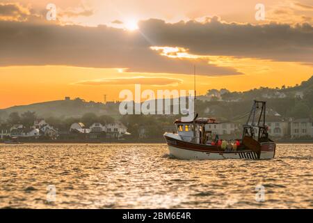 Bei Sonnenaufgang fährt das lokale Fischerboot Serene Sky vom Kai in Appledore in North Devon aus auf See Stockfoto