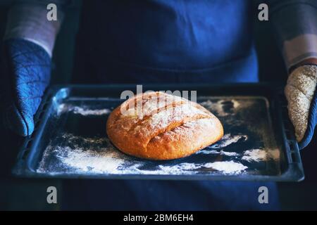 Ein Koch in blauer Schürze und blauen Topflappen hält ein dunkles Backblech mit frisch zubereitetem Weizenbrot. Hausmannskost. Stockfoto