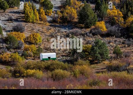 Schafhirten-Wagen und Herbstfarbe in den Bergen, vom US Highway 6 in den Wasatch Mountains in Utah, USA aus gesehen [Keine Eigentumsfreigabe; verfügbar Stockfoto