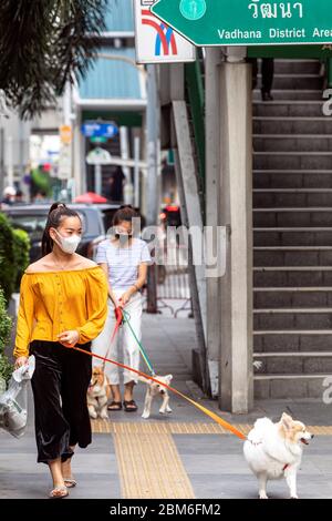 Mädchen mit Gesichtsmaske Wanderhund während Covid 19 Pandemie, Bangkok, Thailand Stockfoto