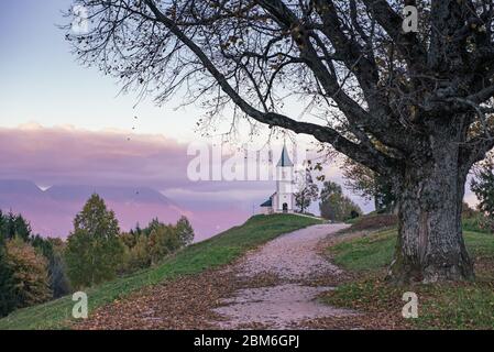 Schöne Sonnenuntergangslandschaft der Kirche Jamnik in Slowenien auf grünem Hügel mit den Bäumen und dem rosafarbenen Himmel Stockfoto