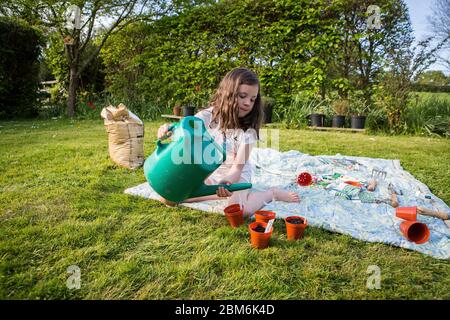 Kleines Mädchen, das Samen pflanzt und in einem Garten arbeitet, Kent, Großbritannien Stockfoto