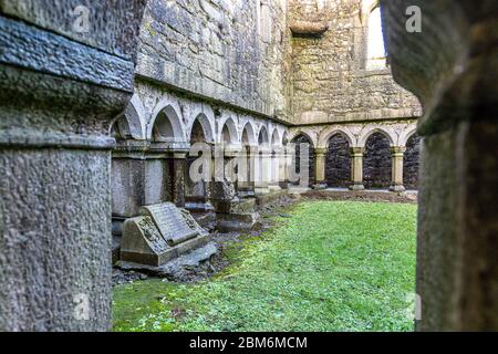 Ross Errilly Friary, ehemaliges Franziskanerkloster, Headford, Galway, Irland Stockfoto