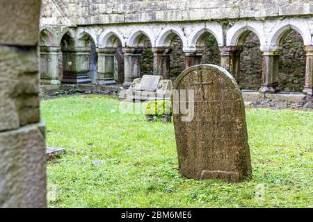 Ross Errilly Friary, ehemaliges Franziskanerkloster, Headford, Galway, Irland Stockfoto