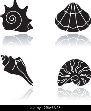Verschiedene Muscheln Drop Schatten schwarz Glyph Symbole gesetzt Stock Vektor