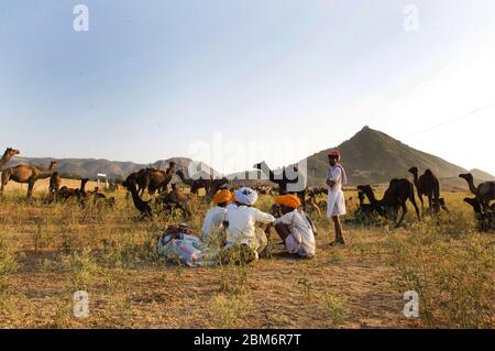 INDIEN, PUSHKAR, DIE KAMELMESSE Stockfoto