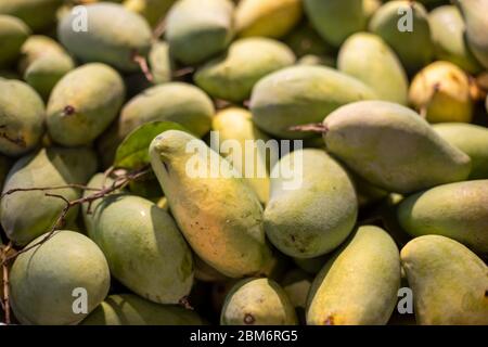 Textur von Stapel von frischen grünen Mangos zum Verkauf auf dem Markt. Stockfoto