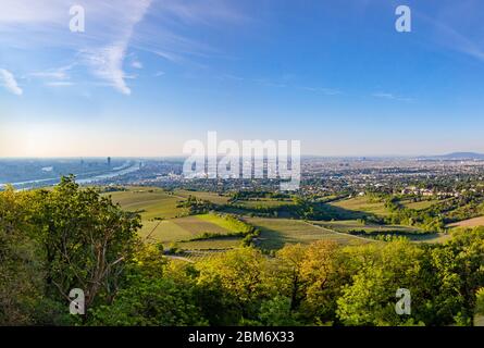 Panoramablick über Wien. Hauptstadt von Österreich in Europa. Blick auf die ganze Stadt von Kahlenberg. Stockfoto