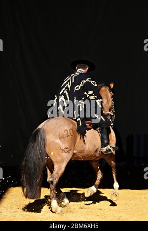 Gaucho in traditionellem Outfit, der im Dunkeln auf einem criollo Pferd reitet Stockfoto