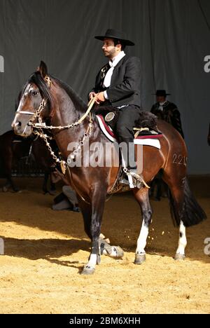 Gaucho in traditionellem Outfit, der im Dunkeln auf einem criollo Pferd reitet Stockfoto